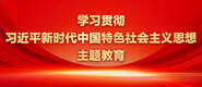 日本美女被我的大鸡吧操的爽歪歪了学习贯彻习近平新时代中国特色社会主义思想主题教育_fororder_ad-371X160(2)